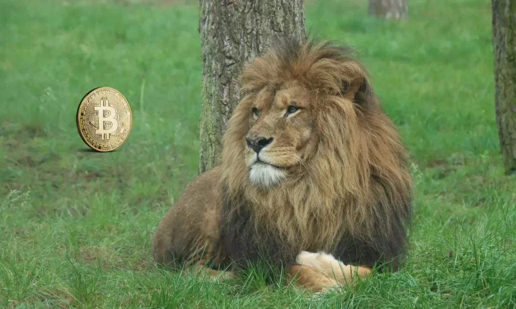 Receita Federal Leão